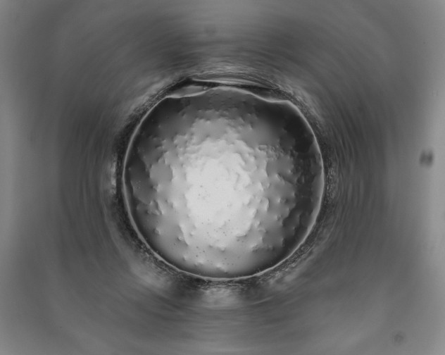X0000091210358200708161547
