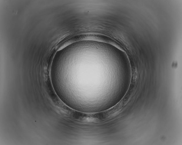 X0000091210360200708161547