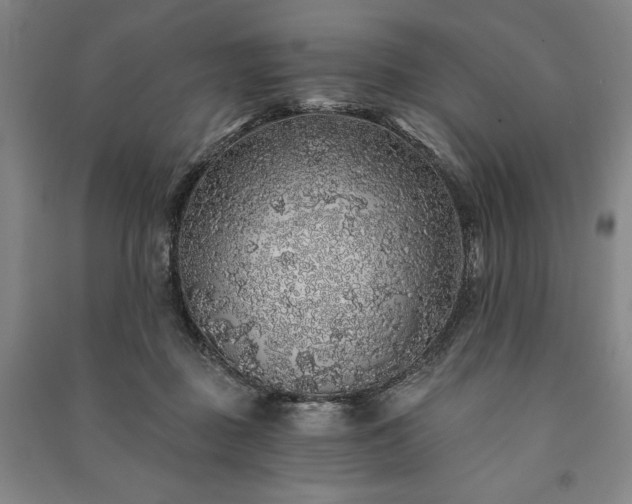 X0000091210363200708161548