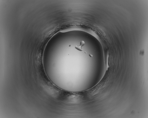 X0000091210364200708161548
