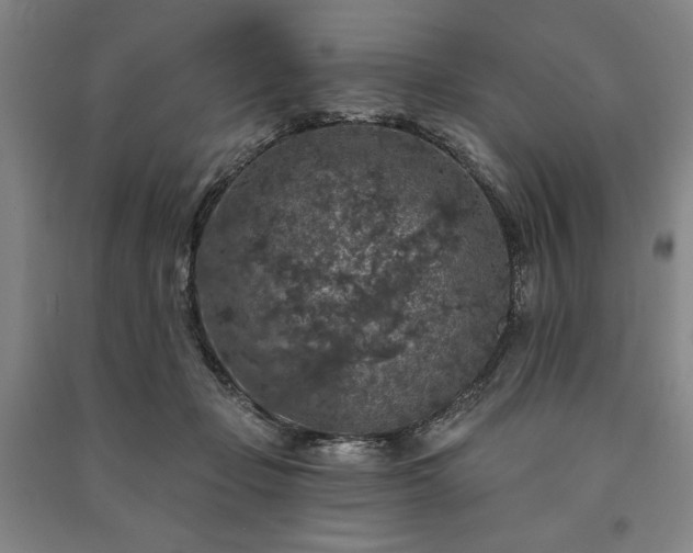 X0000091210365200708161548