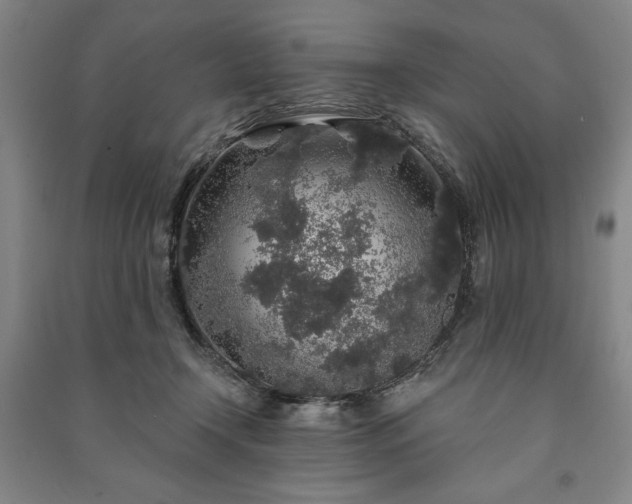 X0000091210366200708161548