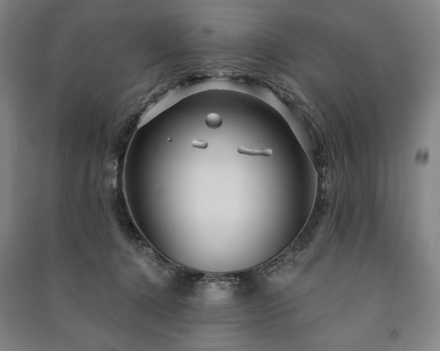 X0000091210368200708161548