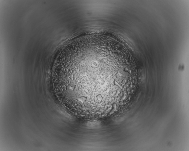X0000091210369200708161548