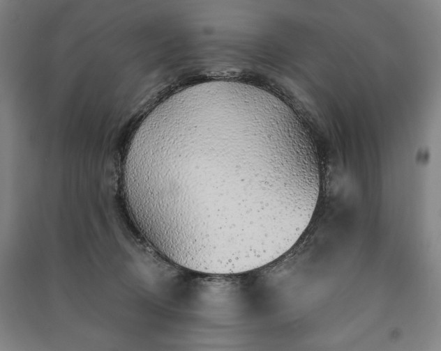 X0000091210370200708161548
