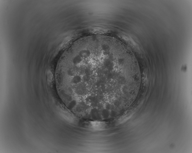 X0000091210371200708161548