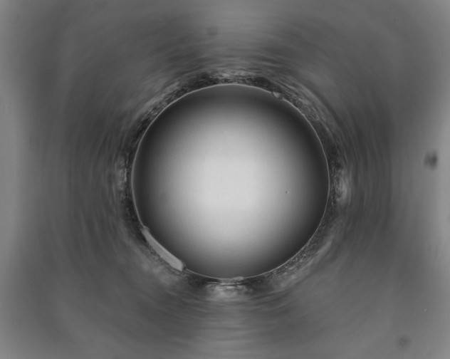 X0000091210372200708161548