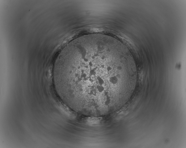 X0000091210373200708161548