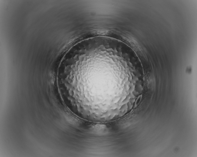 X0000091210374200708161548