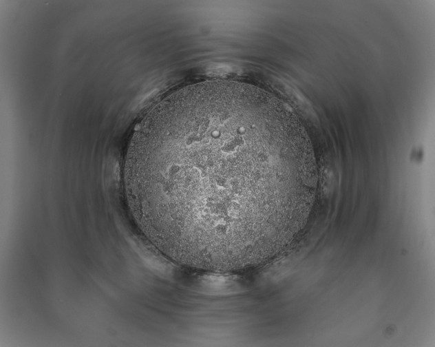 X0000091210375200708161548