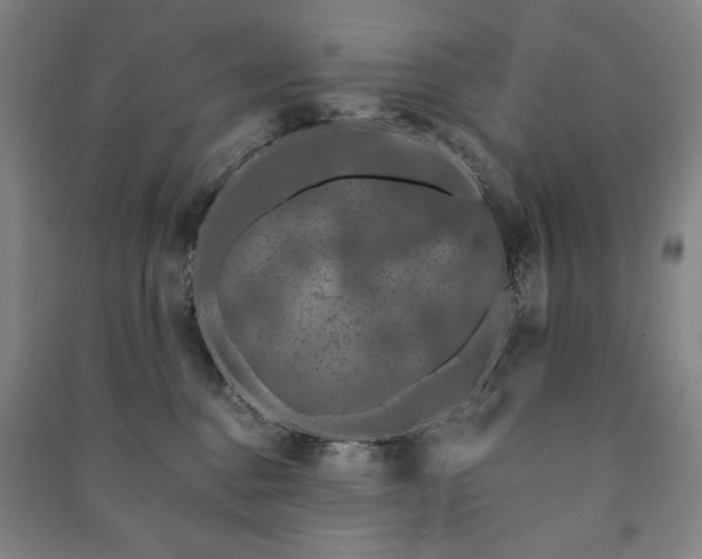 X0000091210376200708161548