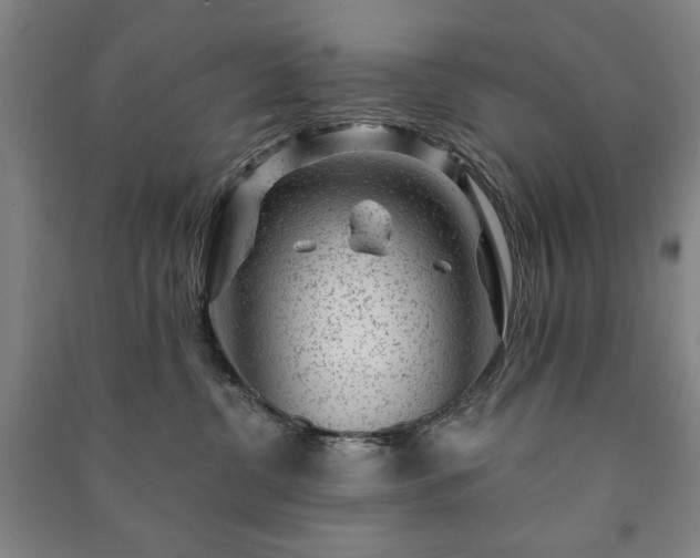 X0000091210380200708161548