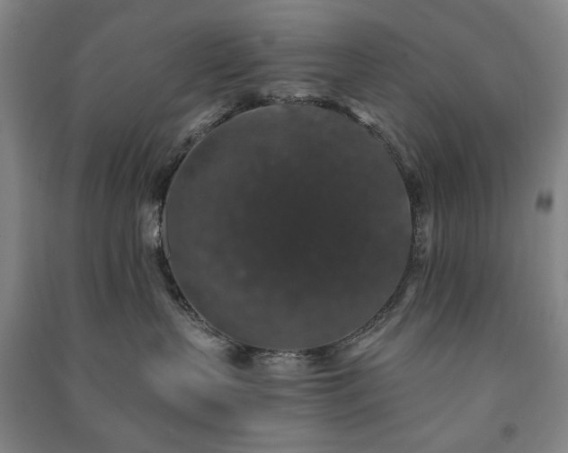 X0000091210383200708161548