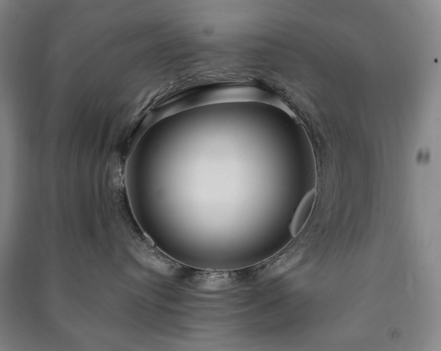 X0000091210384200708161548