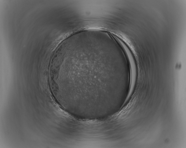 X0000091210385200708161547