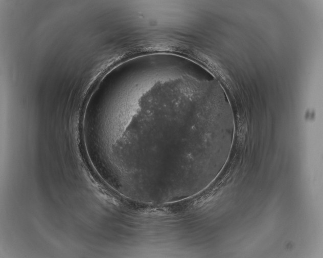X0000091210386200708161547