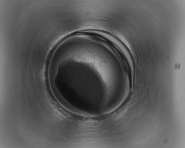 X0000091210387200708161547