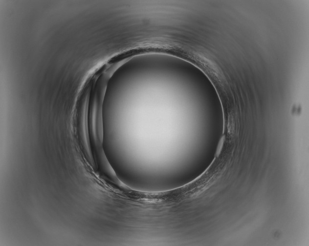 X0000091210388200708161547