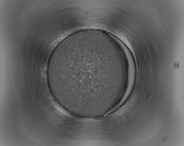 X0000091210389200708161547