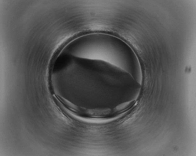 X0000091210391200708161547