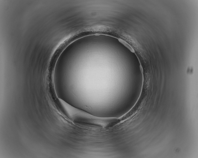 X0000091210392200708161547