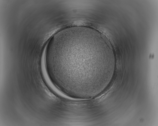 X0000091210393200708161547