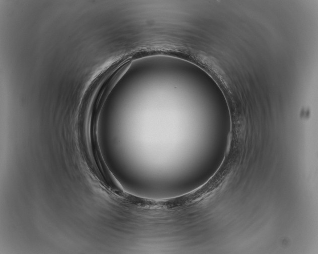 X0000091210395200708161547