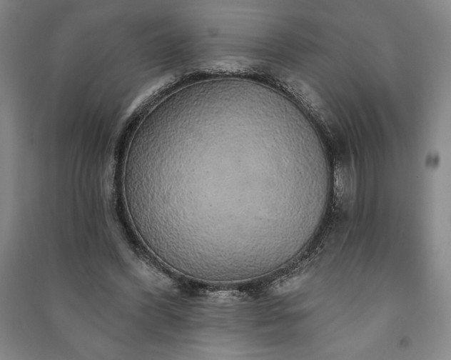 X0000091210396200708161547