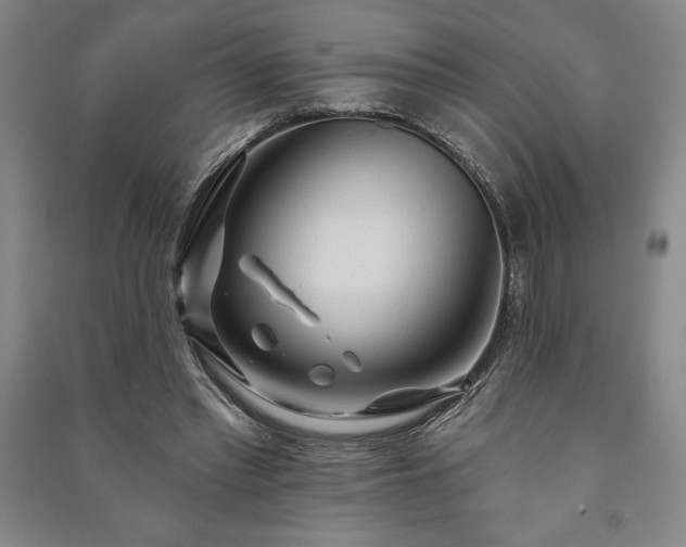 X0000091210397200708161547