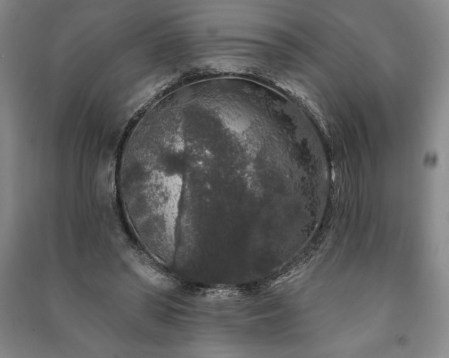 X0000091210398200708161547