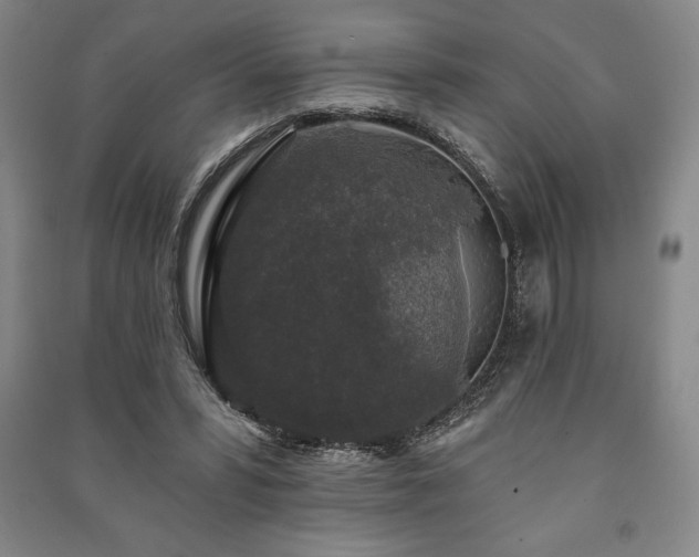 X0000091210399200708161547