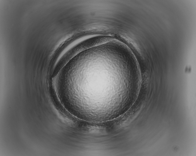 X0000091210400200708161547