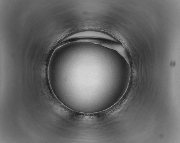 X0000091210401200708161547