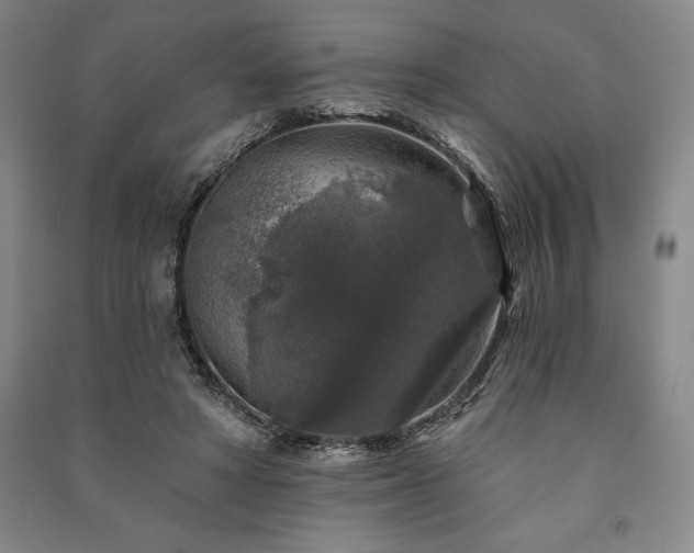 X0000091210402200708161547