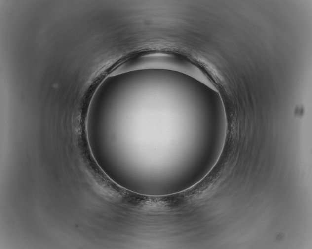 X0000091210403200708161547