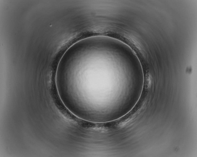X0000091210404200708161547