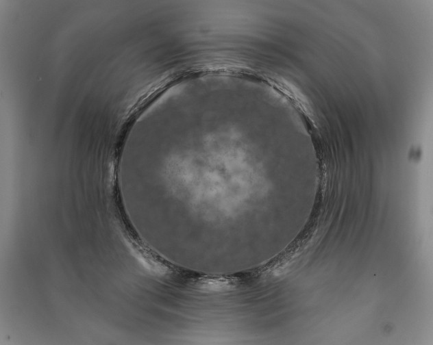 X0000091210405200708161547