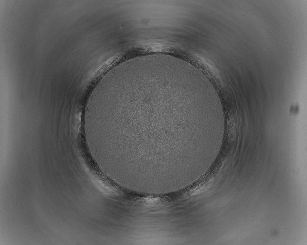 X0000091210406200708161547