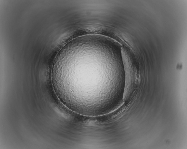 X0000091210408200708161547