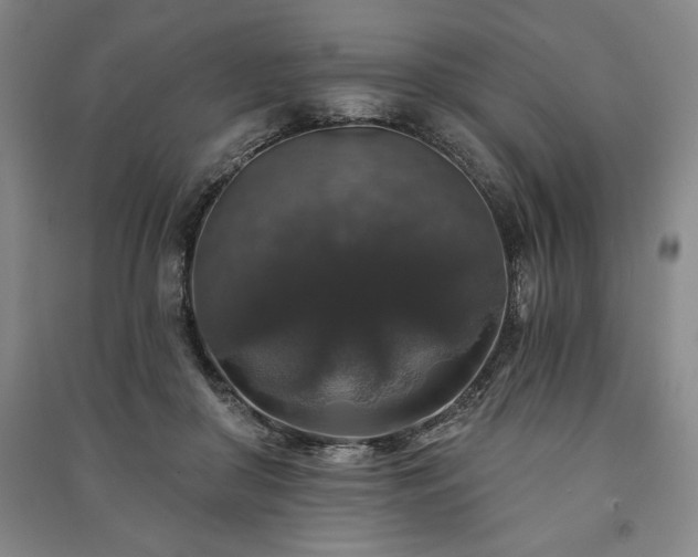 X0000091210410200708161547