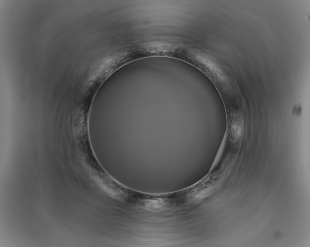 X0000091210411200708161547