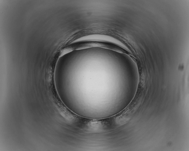 X0000091210413200708161547