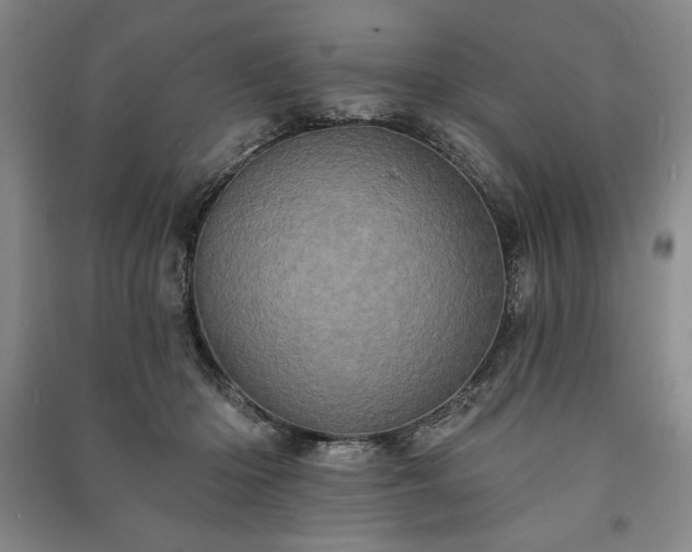 X0000091210414200708161547