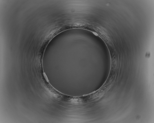 X0000091210415200708161547