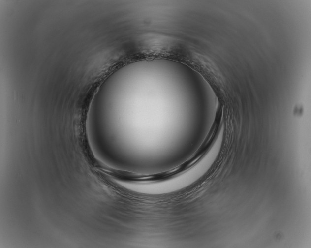 X0000091210416200708161547