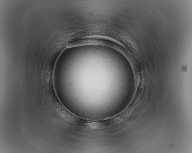 X0000091210417200708161547