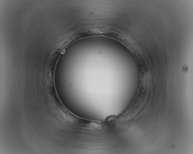 X0000091210418200708161547