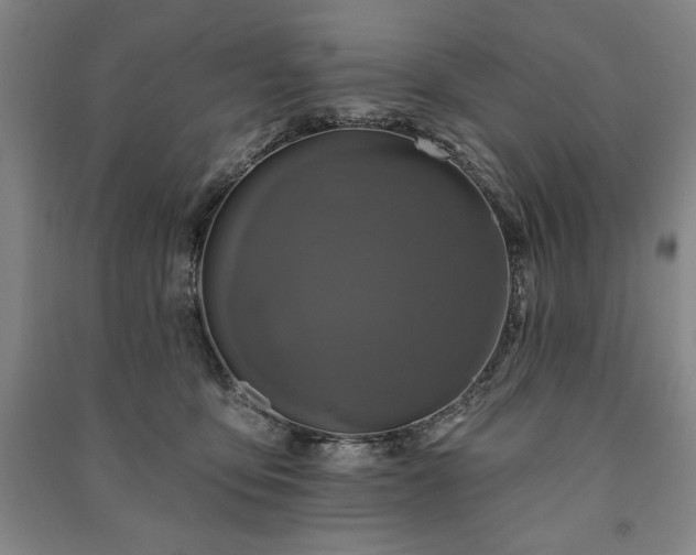 X0000091210419200708161547