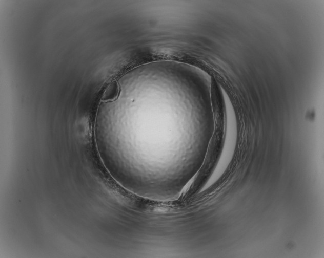 X0000091210420200708161547