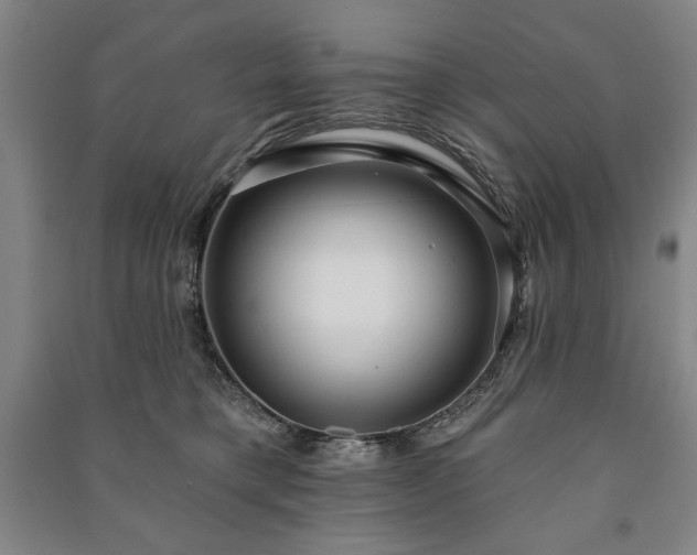X0000091210421200708161547